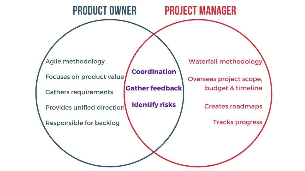 Data product owner vs project manager
